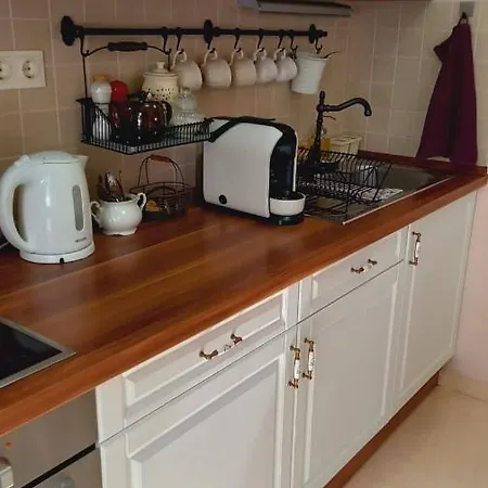 Apartament Toparti *
